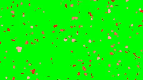 Heart shape confetti - loop, green screen, 4K Stock Footage 80401931
