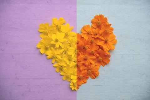 Heart shape cut in half Heart shape cut in half and different color on woo... Stock Photos
