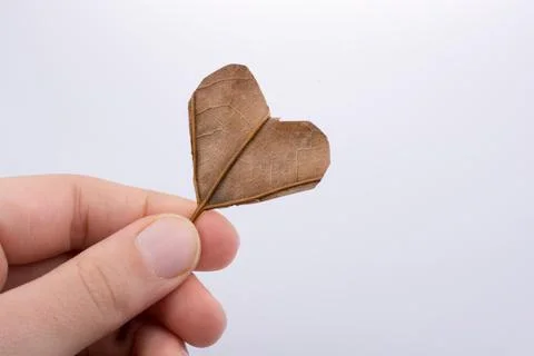Heart shape cut leaf in hand found on a background full of straws Stock Photos