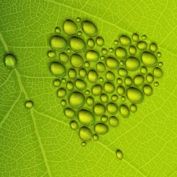 Heart shape dew drops on green leaf. vector illustration, eps10 Stockillustratie