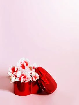 Heart shape gift box and bouquet on pink background. Stock Photos