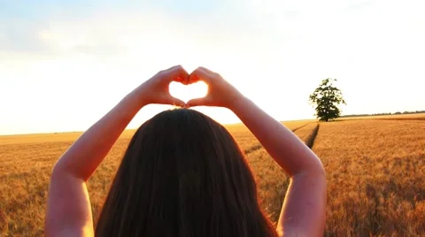 Heart-Shape with Hands in Sunset in Wheat Filed Stock Footage 51776505