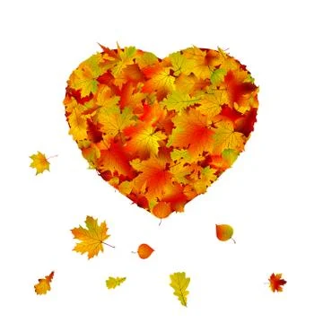 Heart shape made from autumn leaf. EPS 8 Stock Illustration