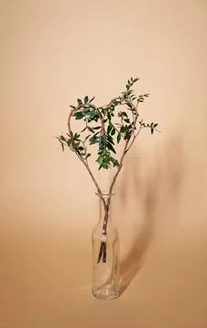 Heart shape made of eucalyptus branches stand in vase Photos