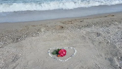 A heart shape made of seashells with a fresh sprig of a luxurious red rose Stock Footage 156701535