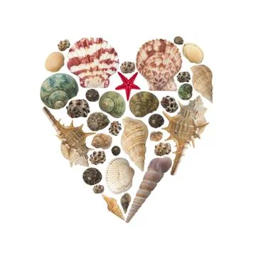 Heart shape made of shells isolated Stock Photos