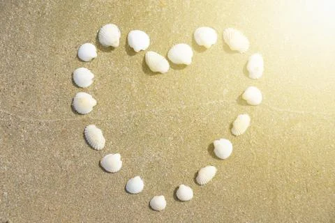 Heart Shape made of shells on the sandy beach with the sunshine touched Stock Photos
