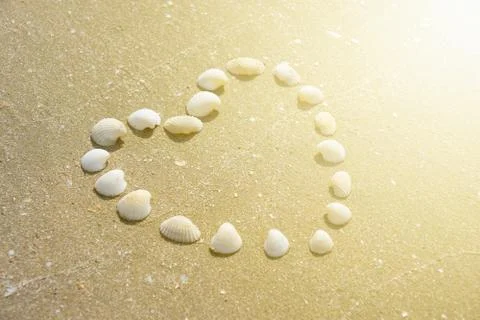 Heart Shape made of shells on the sandy beach with the sunshine touched Stock Photos