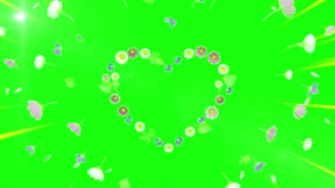 A heart shape made of various colorful spring flowers and petals floating Stock Footage 337463505