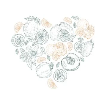 Heart shape pattern made from fruit contours. Vector illustration. Stock Illustration