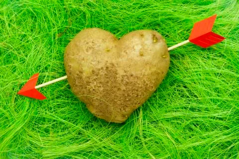 Heart shape potato Stock Photos