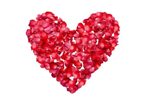The heart is a shape of red rose petals isolated on a white background. A sym Stock Photos