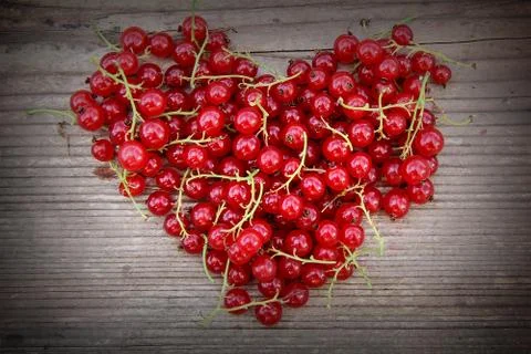 Heart Shape From Redcurrant. 库存照片