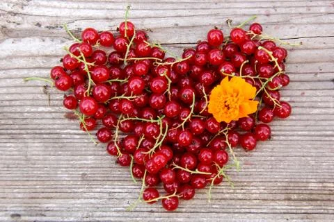 Heart Shape From Redcurrant. 库存照片