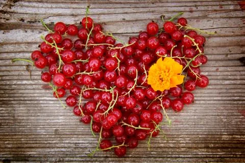 Heart Shape From Redcurrant. 库存照片