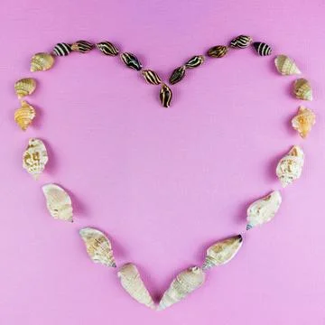 Heart Shape From Seashells on Pink Background with Copy Space. Stock Photos