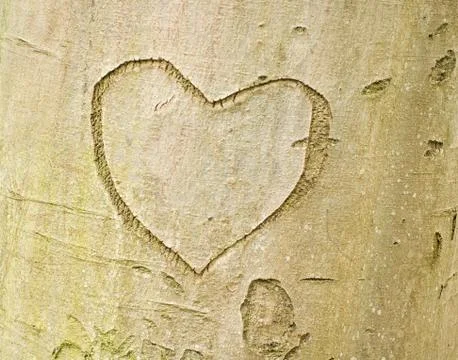 Heart shape on tree bark Illustrazione stock