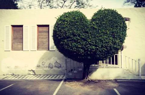 Heart shape tree in front of building Stock Photos
