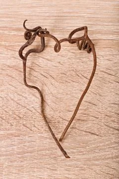 Heart shape of vines Stock Photos