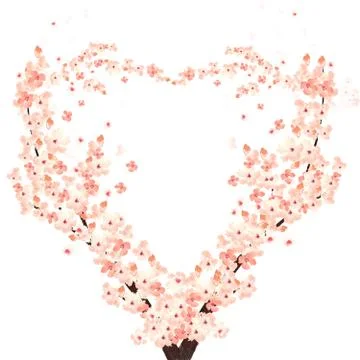 Heart shaped branches of cherry tree in bloom isolated on white background Stock Illustration