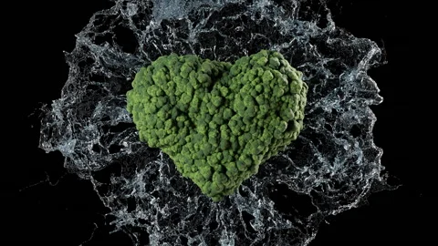 Heart shaped Broccoli with slow-motion water splash close-up shot Stock Footage 156744886