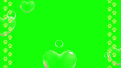 Heart shaped bubbles float on green screen with paw prints Stock Footage 337523614