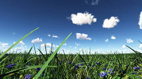 Heart-shaped clouds Vidéo 86295904