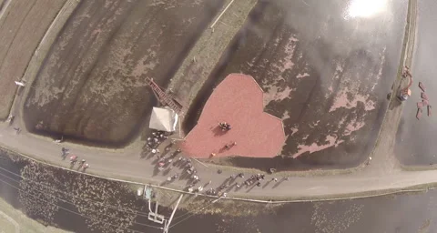 Heart Shaped Cranberry Marsh Stock Footage 166913511