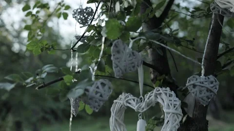 Heart Shaped Figurines Hanging on a Tree Video stock 241322588