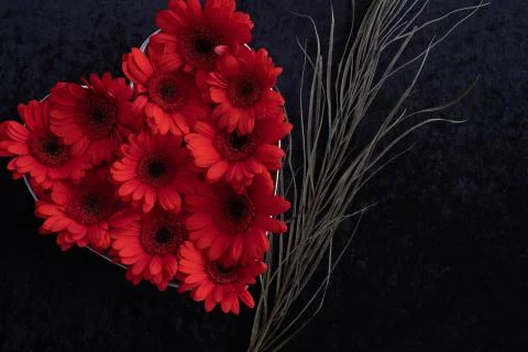 Heart shaped gerbera flowers on table Stock Photos