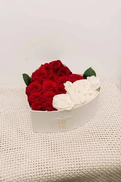 Heart shaped gift box with red and white roses on knit fabric Stock Photos