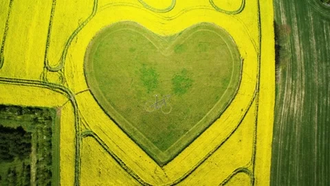 Heart shaped grass field surrounded by beautiful yellow canola fields aerial Stock Footage 274436423