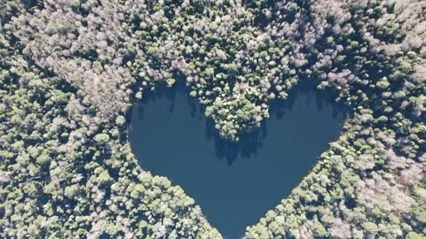 Heart shaped lake by drone Stock Footage 159080125