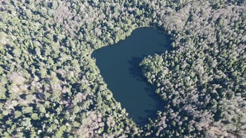 Heart shaped lake Video stock 159080684