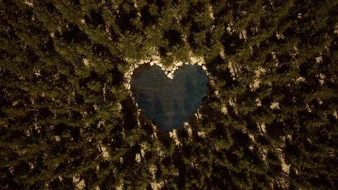 Heart-shaped lake surrounded by forest. Aerial top view. 3d rendering. Stock Footage 258249945