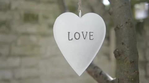 Heart shaped ornament Stock Footage 54035352