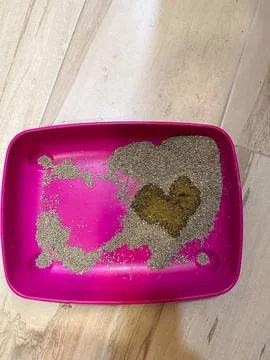 Heart-shaped pattern formed in a litter box sand for cat, surprising discover Foto stock