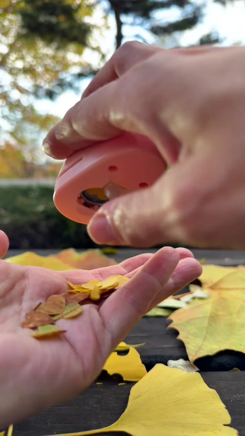 Heart shaped pieces fall from craft punch into open hand during autumn DIY Stock Footage 343476605