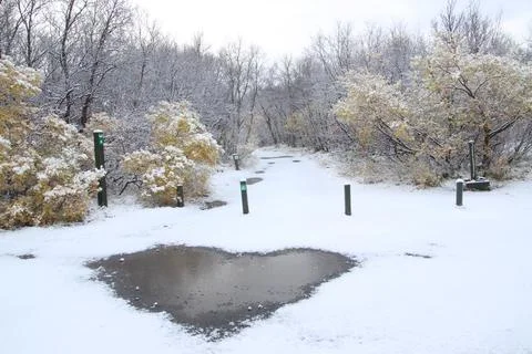 Heart shaped puddle Stock Photos