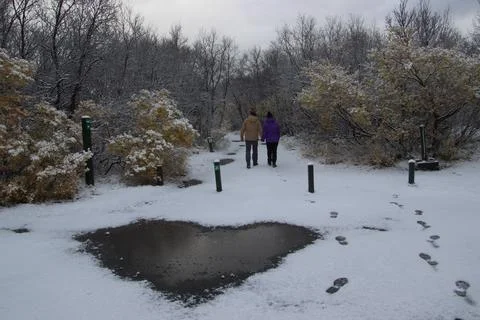 Heart shaped puddle Stock Photos