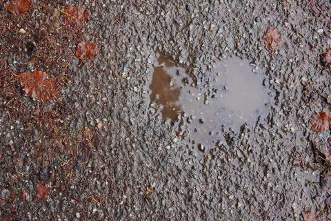 Heart Shaped Puddle. Stock-Fotos