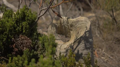 Heart Shaped Rock Close-Up Stock Footage 316048257