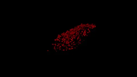 Heart-Shaped Rose Petals Falling | Romantic Love Background Animation Stock Footage 310687365