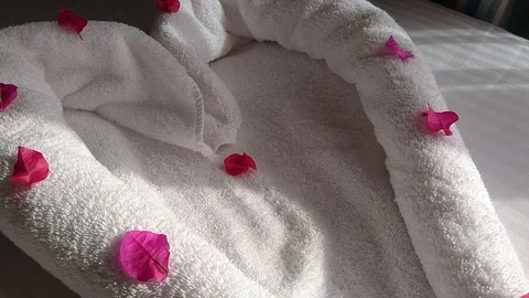 Heart Shaped Towel Stock Footage 125469539