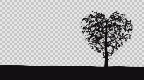 Heart Shaped Tree - Alpha Matte - UHD resolution Stock Footage 64830524