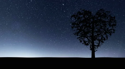 Heart Shaped Tree and Starry Background Stock Footage 64830298