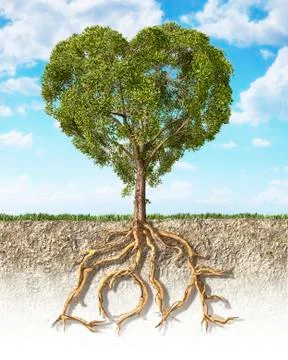 Heart-shaped tree, artwork Stock Illustration