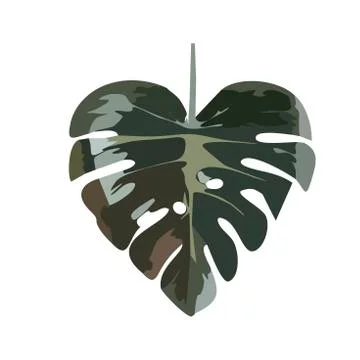 A heart shaped tropical leaf. Stock Illustration