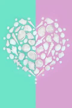 Heart Shaped White Seashell Romantic Design Stock Photos