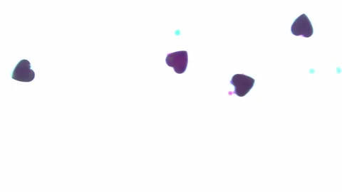 Heart shapes floating acros the frame with a white background Stock Footage 133505628